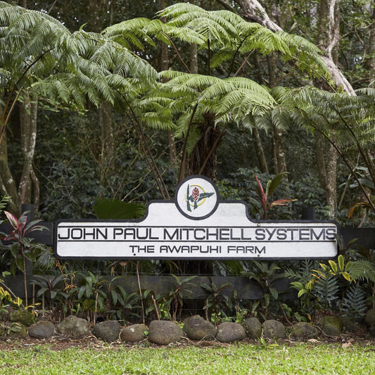 Awapuhi Wild Ginger Styling Treatment Oil