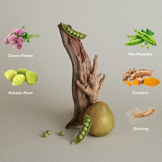 Scalp Care Regeniplex Regimen Kit