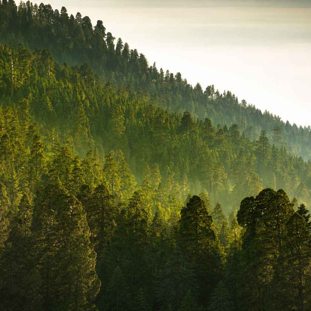 PAUL MITCHELL | Officiel Webshop Danmark