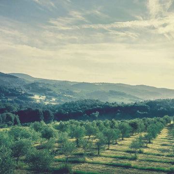 Paul Mitchells forpligtelse til at give tilbage.