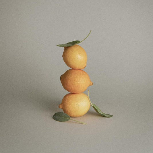 Tea Tree Lemon Sage Thickening Shampoo