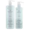 Awapuhi Wild Ginger Shampoo & Treatment