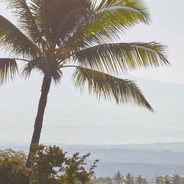 Lad dig forføre af dufte og ingredienser