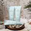 Awapuhi Wild Ginger Shampoo & Treatment