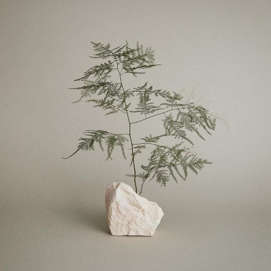 Tea Tree Hair and Scalp Treatment