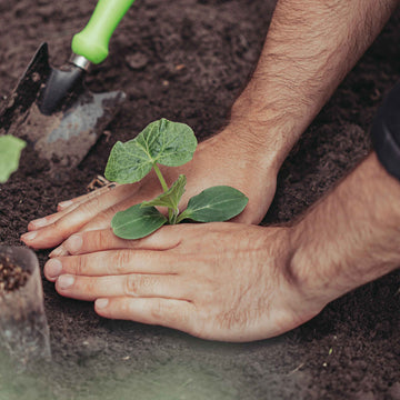 Paul Mitchell har forpligtet sig til at plante træer
